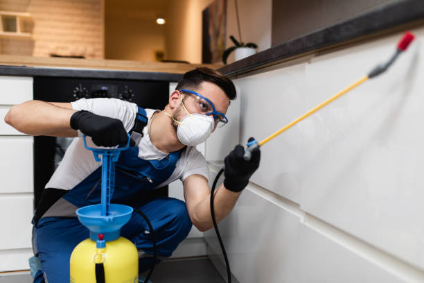 Best Best Pest Control Companies  in Eagle River, WI