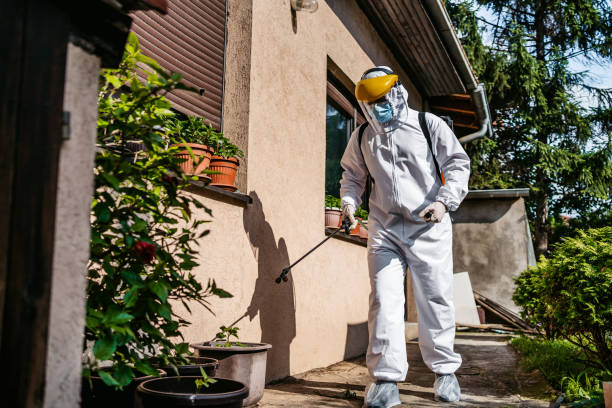 Best Pest Prevention Services  in Eagle River, WI