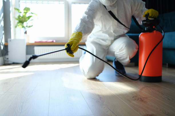 Reliable Eagle River, WI Pest Control Solutions