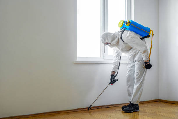 Best Wasp Removal Services  in Eagle River, WI