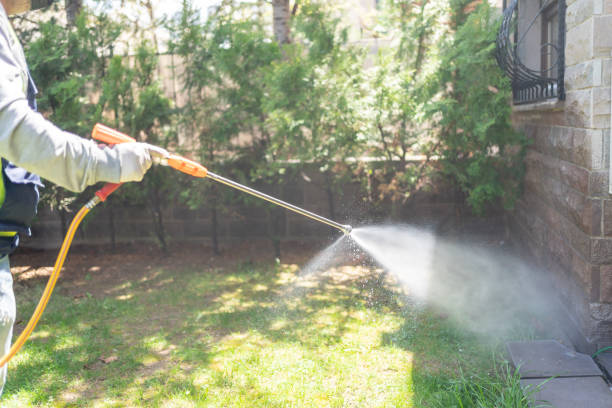 Best Termite Control Services  in Eagle River, WI