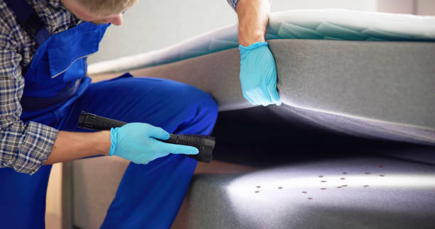 Pest Control for Restaurants in Eagle River, WI