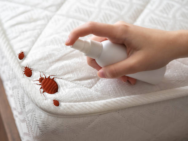 Best Pest Control for Restaurants  in Eagle River, WI