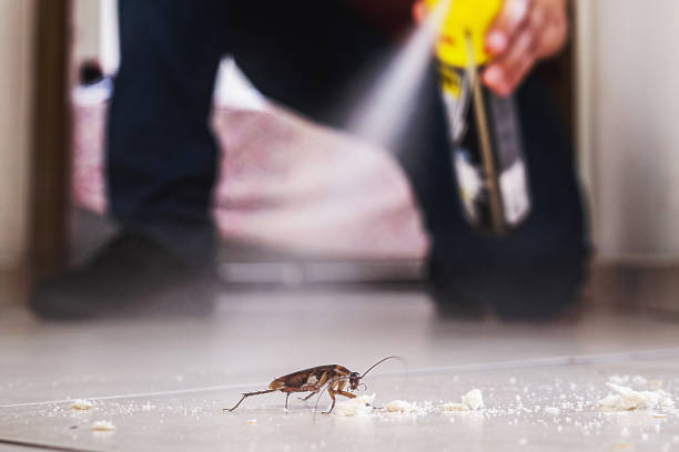 Best Pest Removal Services  in Eagle River, WI